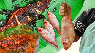 RED SNAPPER FISH | Cooking in Village | Fish Fry ASMR