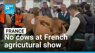 No cows allowed at French agricutural show &bull; FRANCE 24 English