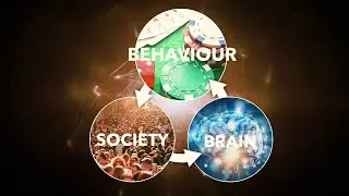 University of Warwick Behaviour, Brain and Society Global Research Priority