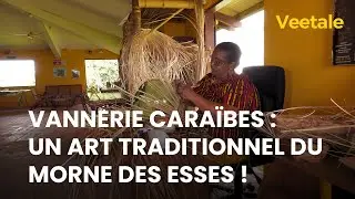 Vannerie Caraïbes: un art traditionnel du Morne-des-Esses