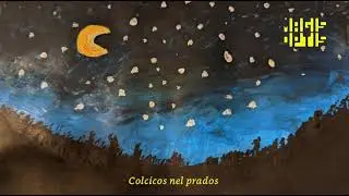 Colcicos nel prados - Magis Optis