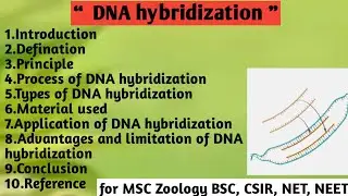 DNA hybridization | Principal | Process | Types | Material | Applications | Advantages & limitation