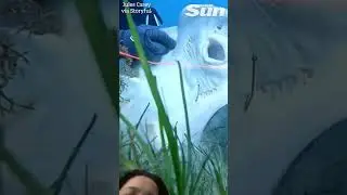 Hero diver rescues Fiddler Ray fish stuck on a fishing hook #fishing #scubadiving