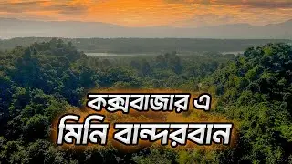 কক্সবাজার এ মিনি বান্দরবান | কিভাবে যাবেন ? | Cox's Bazar Hidden Gem Mini Bandarban