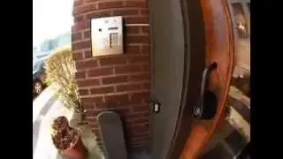 real twerkers