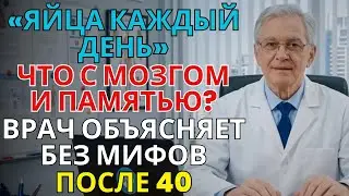 Яйца каждый день: польза или вред для мозга и памяти? Полный анализ | ПАМЯТЬ И МОЗГ