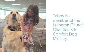 Tabby the Comfort Dog Visits COVID-19 Vaccine Clinic
