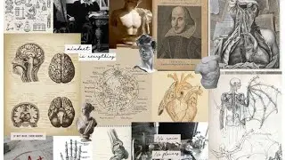 Course 3 HUSB L1🇩🇿🤍(باللغة الإنجليزية والعربية  )-key biology advance (Antiquities) 