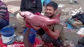 &ldquo;Insanely Fast Fish Cutting Skills 😱 | Most Satisfying Fish Prep Ever!&rdquo;