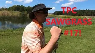 Hole 17 TPC Sawgrass at Wooden Sticks Replica Golf Club!
