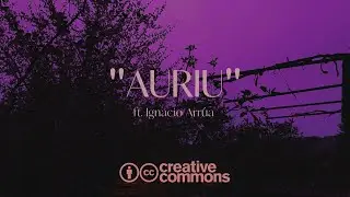 KaizanBlu - Auriu