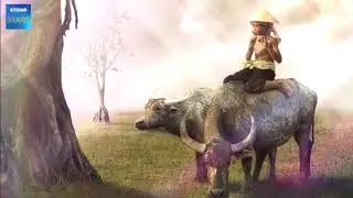 Batak Tribal Music Classic #music