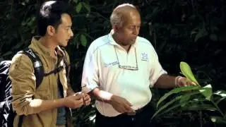 Tour of the Belum-Temengor Rainforest in Perak, Malaysia