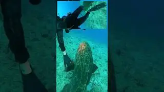 #fishing #fishingnews #shortvideo #fishingvideos #صيد #foryou #statusvideo #diy