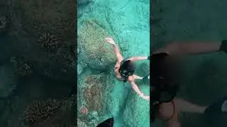 Ocean Trash Haul #shorts