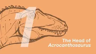 Fergus the Acrocanthosaurus 1: The Head | Learn to Draw Dinosaurs with ZHAO Chuang