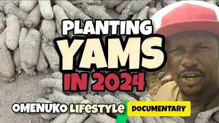 YAMS : How to plant and grow YAMS in 2024. | @GbaxBeats for sound tracks