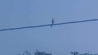#nature 💯🥰✅