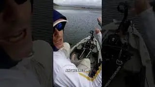 Cruising Swartvlei without paddling 🚫🚣&zwj;♂️