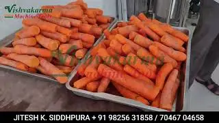 Carrot Dicer Machine |  Carrot Cubing Machine | Carrot Dicing | Vegetable Cubbing Machine
