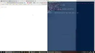 Poorman Flask Debugging