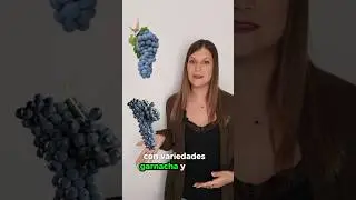 SPRING WINE🌸🌼 #wine #spring #winetips #tasting #springtime #vino #vinoespa&ntilde;ol