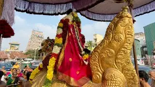 கணு புறப்பாடு