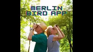 Merlin Bird App Friday Fun Tech