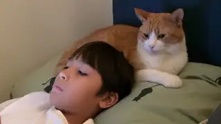 Relaxing Night routine with my cat!