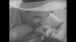 Shozo, A Cat and Two Women (猫と庄造と二人のをんな) 1956 - cat scenes