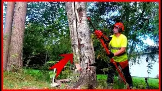УПАЧЕННОЕ ДЕРЕВО НАЧИНАЕТ ЛЕВИТИРОВАТЬ