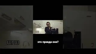 это правда они???