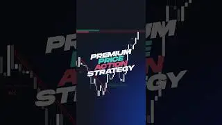 BEST Price Action Indicator on TradingView🚀📈