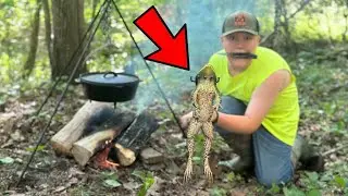 Gigging GIANT Bullfrogs in a NASTY Pond! (Catch Clean Cook)