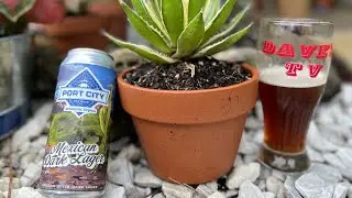 Mexican Dark Lager #mexican #lager