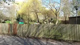 Toadie's Crazy Cars Ride At Chessington World Of Adventure March 2016