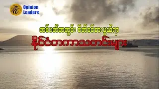 International News Review : Jan Week 4