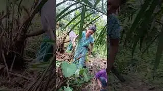Ini ibu2 lagi pada cari rempah2 buat persiapan nikahan ribi  & selamet