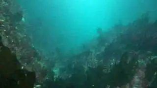 streekheaddrift
