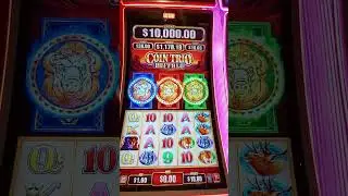 Coin Trio Buffalo slot - we won FREE games BONUSES!!! 👍👍👍👍👍