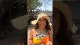 Why Tourists Flock to Pig Island in Koh Samui, Thailand