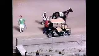 2004 Scioto Downs SHEER SAHBRA Ron Steck