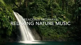 Relaxing Nature Music - Time to wind down