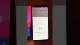 Trinity Demo