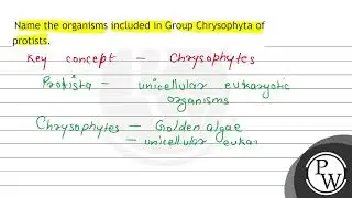 Name the organisms included in Group Chrysophyta of protists.
