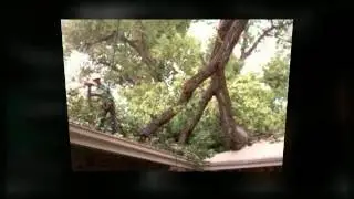 Sappington Saint Louis Missouri 63128 Tree Service