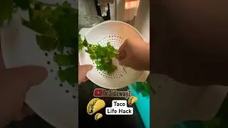 Taco Life Hack for Fast Cilantro #tacos #lifehacks #streetfood #cookinghacks
