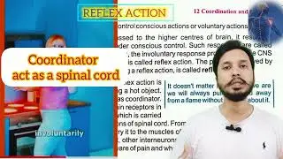 Reflex action  | Reflex arc | Animated lecture | Class 10 biology chapter 3@BioBrain_by_rafahkhan 