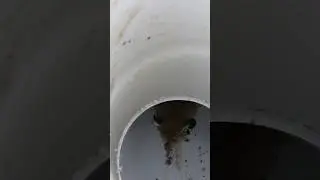 How To Run Your Downspout Out- Yard Drainage That Really Works