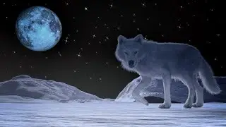 Relaxing Sleep Music | Fall Asleep Fast | Beat Insomnia | Stress Relief